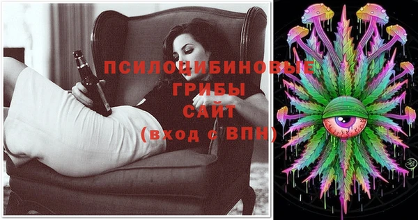 первитин Новозыбков
