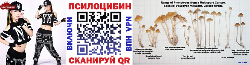 Псилоцибиновые грибы мицелий  дарнет шоп  Сочи 