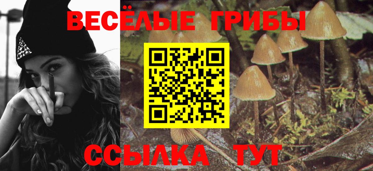 Сочи  как найти   Вход с VPN  Галлюциногенные грибы ЛСД 